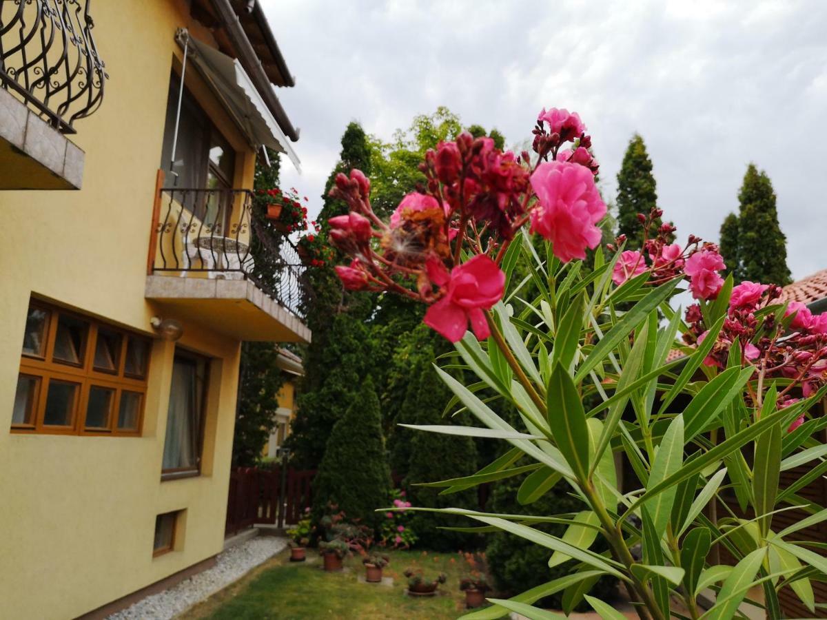 Julia Panzio Bed & Breakfast Hajduszoboszlo Bagian luar foto